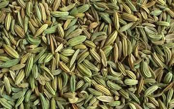 رازیانه و لاغری | خاصیت گیاه رازیانه