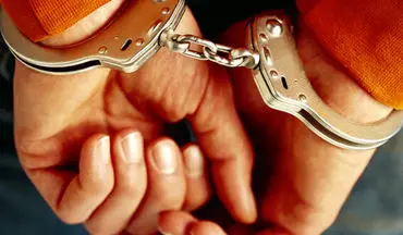 دستگیری ۲۴ نفر از عاملان سرقت‌های مسلحانه در جنوب شرق کشور