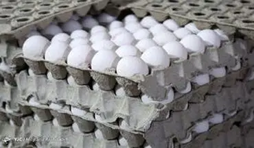 قیمت انواع تخم مرغ در بازار + جدول (۹۹/۱۱/۲۳) 