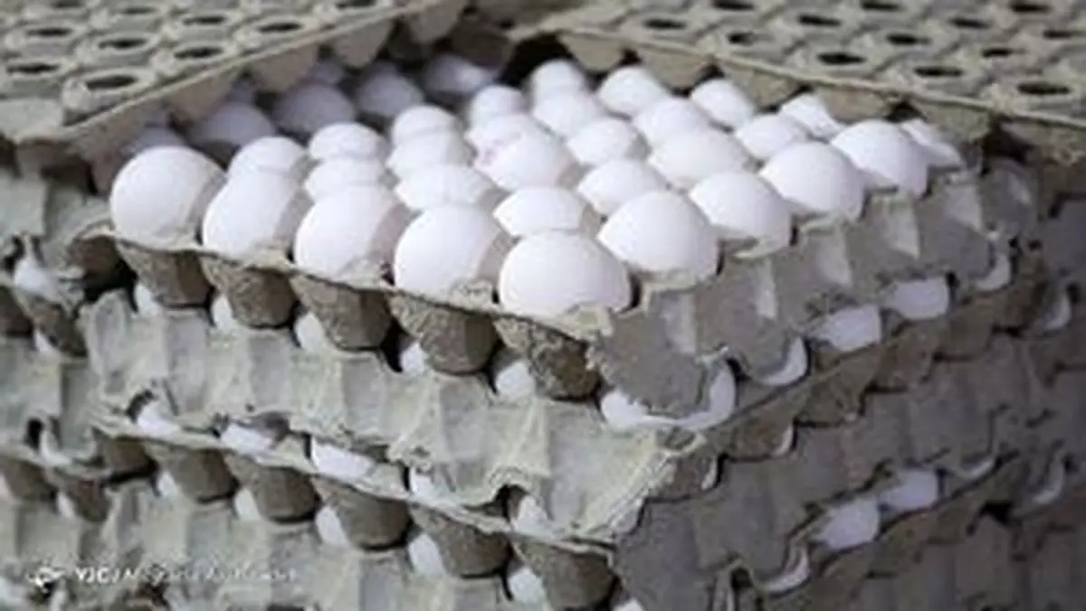 قیمت انواع تخم مرغ در بازار + جدول (۹۹/۱۱/۲۳) 