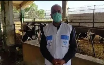 آغاز طرح ایمن سازی جمعیت دام سنگین استان کرمانشاه علیه بیماری تب مالت