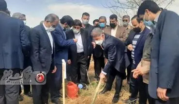 گزارش تصویری/برگزاری جشن درختکاری در پردیس کشاورزی و منابع طبیعی دانشگاه رازی کرمانشاه
