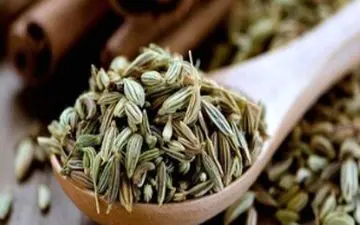 از آشپزخانه تا داروخانه؛ رازیانه، گیاه معجزه‌گر

