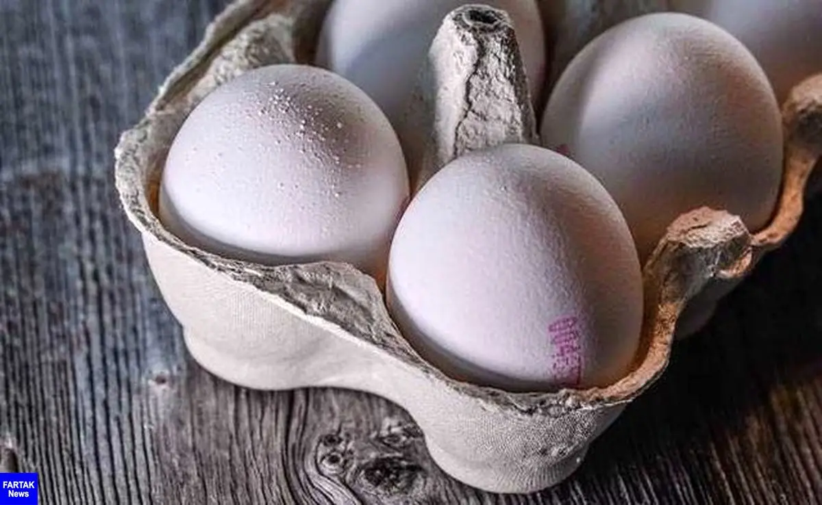 توزیع تخم مرغ با قیمت مصوب آغاز شد 