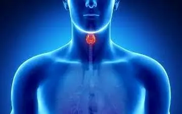 5 عملکرد مهم تیرویید که هرگز نمی دانستید!