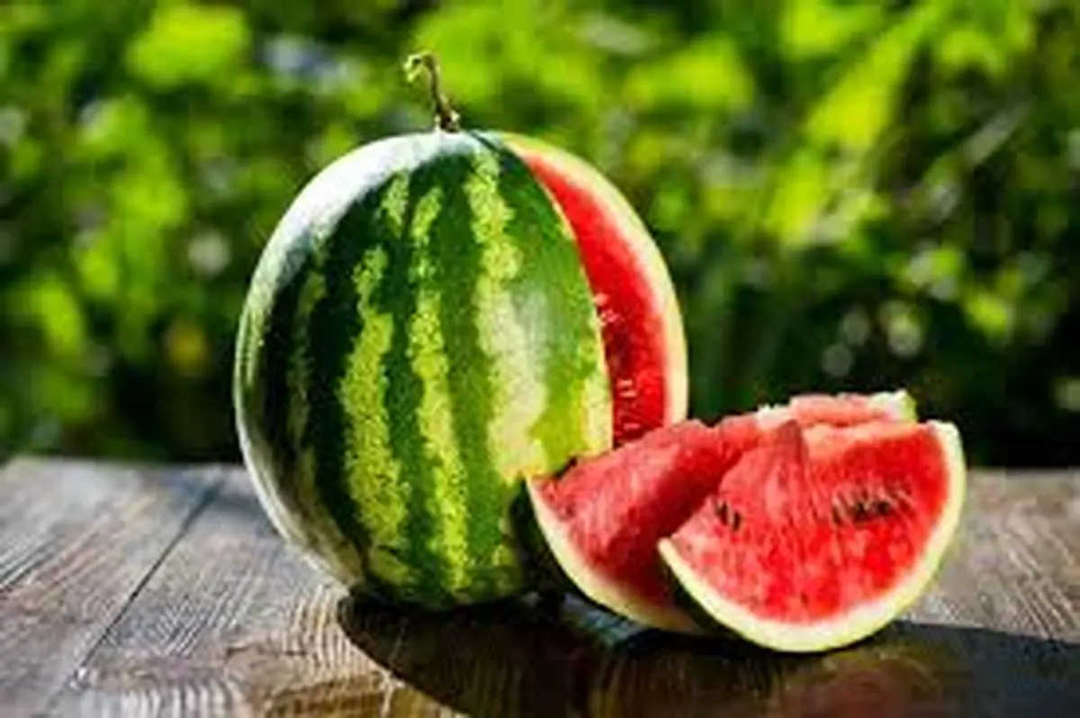 هندوانه؛ میوه‌ای تابستانی با خواصی فراتر از طعم