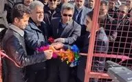 افتتاح پروار بندی گوساله ۲۴۶ رأسی شهرستان پاوه