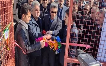 افتتاح پروار بندی گوساله ۲۴۶ رأسی شهرستان پاوه