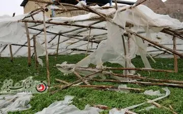 گزارش تصویری از آسیب به مزارع اصفهان بخش فلاورجان در اثر تندباد