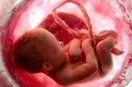 سالانه ۵۰۰ هزار جنین در کشور سقط می‌شوند/۹۳درصد سقط‌ها در بستر خانواده