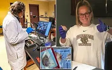 تشریح در منزل؛اقدام عجیب دانشجویان پزشکی!