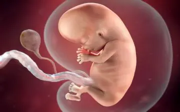 پاسخ به یک سوال مهم/حفظ باروری بیماران مبتلا به سرطان چگونه امکان‌پذیر است؟