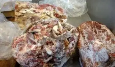 گوشت فاسد در رستوران معروف جنوب پایتخت