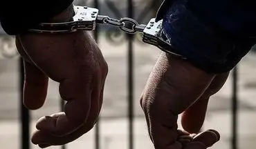  شرور فضای مجازی دستگیر شد/ او در تهرانپارس با شلیک گلوله ایجاد رعب و وحشت می‌کرد 