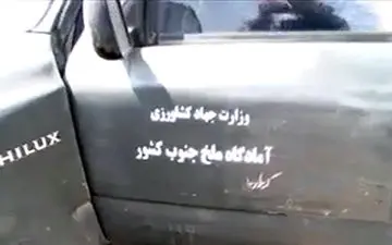 مبارزه با هجوم ملخ‌های صحرایی در جنوب کرمان + فیلم 