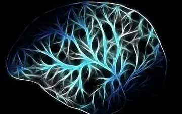 سیستم عصبی بدن و روش‌هایی برای بهبود آن/از نقش نورخورشید صبحگاهی تا سرما 