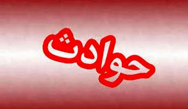 دو فوتی در اتش سوزی پژو