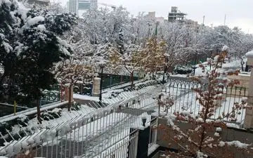 خراسان رضوی برفی و بارانی می شود