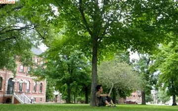 حکایتی تامل برانگیز از شیوانا؛ محال را ممکن کن!