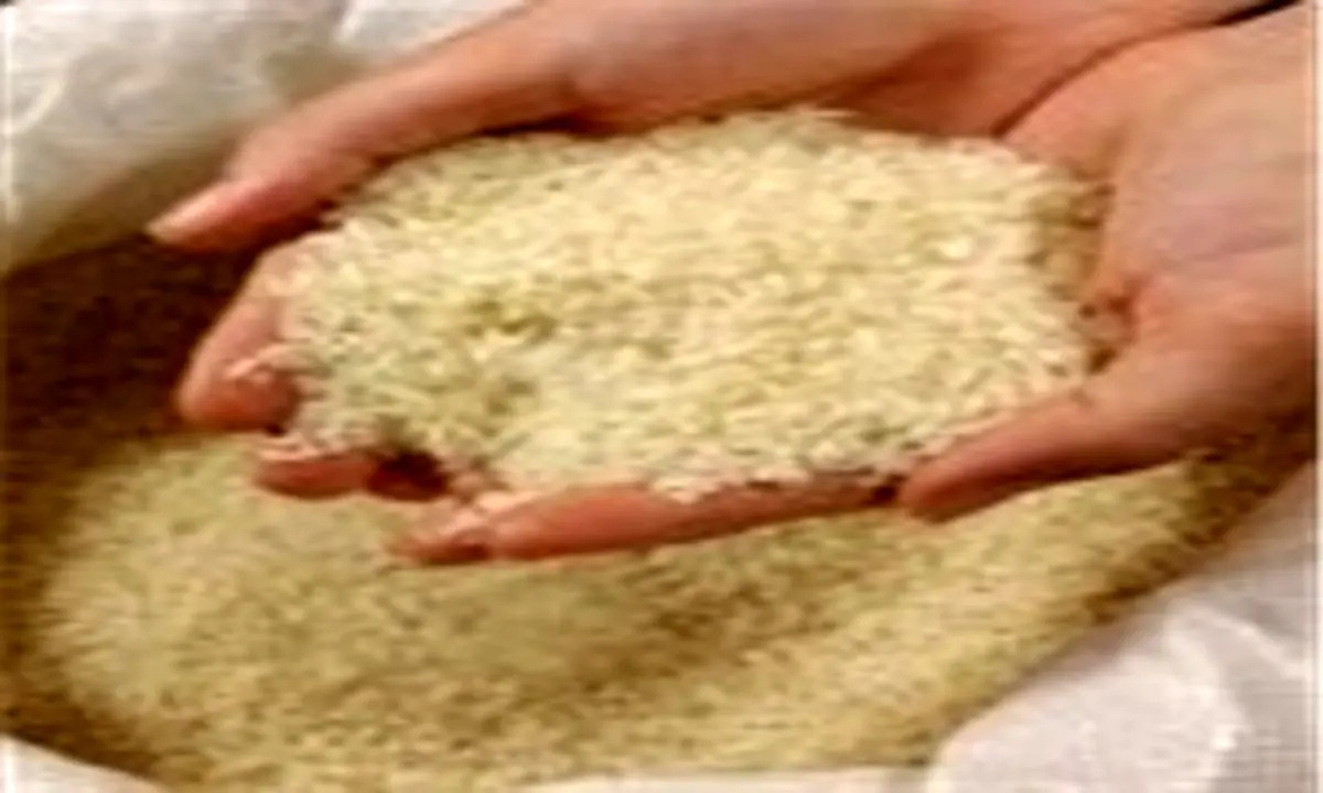  فروش برنج هندی 3400 تومانی توسط بازرگانی دولتی