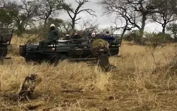 جدال دیدنی شکارچیان آفریقایی مقابل توریست‌ها