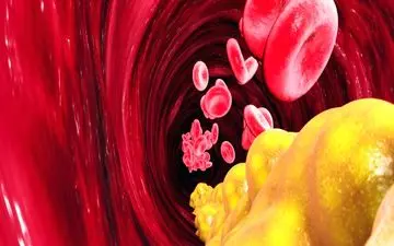 ۵ دلیلی که چرا نباید سطح کلسترول بیش از اندازه پایین باشد