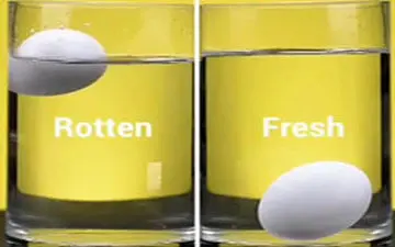 تشخیص تخم مرغ تازه از گندیده + فیلم