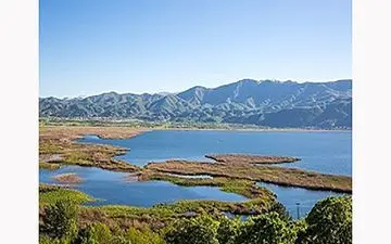 مشاهده 2 قطعه جوجه کوکوی خالدار در تالاب زریوار