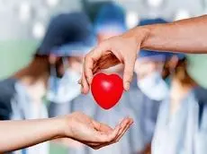 اهدای زندگی از دل اندوه؛ اعضای بدن نوجوان الشتری جان چهار بیمار را نجات داد