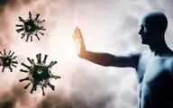 تقویت سیستم ایمنی با نسخه‌های ساده طب سنتی؛ راهکارهایی برای مقابله با بیماری‌ها