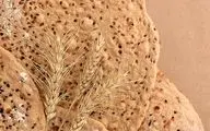 این نان بهترین گزینه برای سلامت شماست