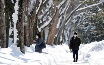 دولت ژاپن به علت شیوع کرونا در هوکایدو «وضعیت اضطراری» اعلام کرد