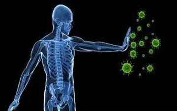 اینفوگرافیک/ راه‌های افزایش ایمنی بدن در پاییز