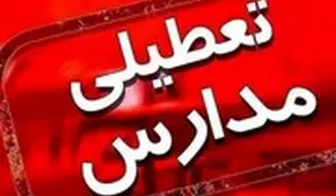 توضیحات سخنگوی آموزش و پرورش تهران درباره تعطیلی مدارس