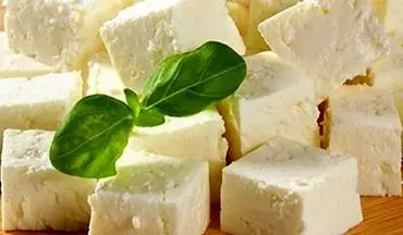 این لبنیات بمب انرژی روده شماست