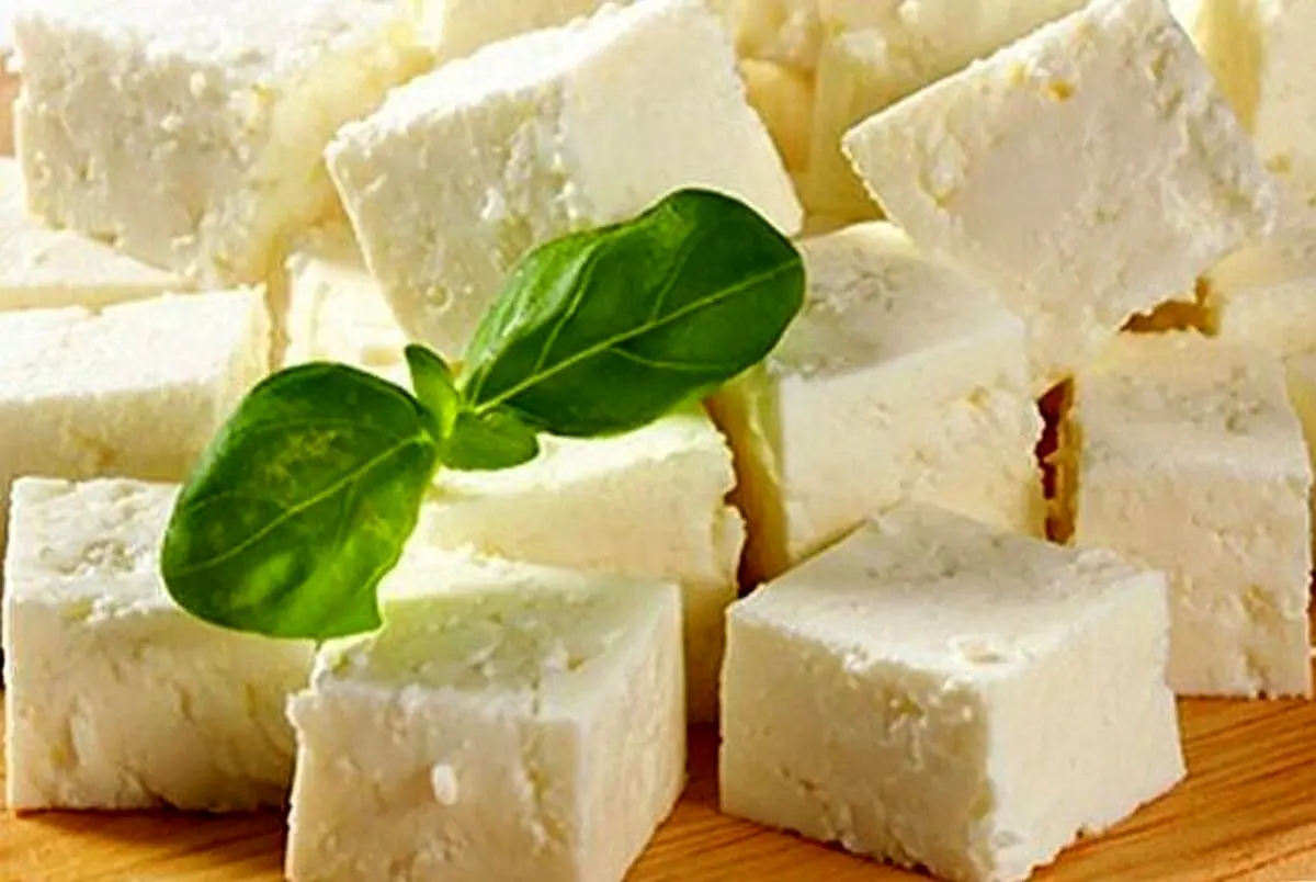 این لبنیات بمب انرژی روده شماست