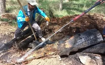 آتش‌سوزی در پارک جنگلی صالح‌آباد مهار شد!
