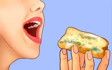  بعد از خوردن کپک چکار باید انجام دهیم؟