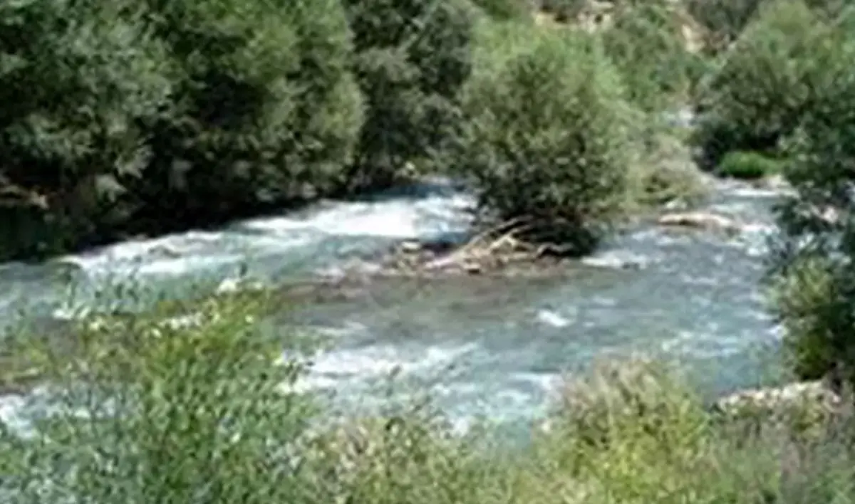 حادثه غم انگیز | ناپدید شدن کودک 12 ساله در رودخانه هراز