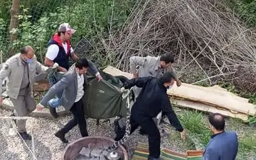 فیلم زنده گیری پلنگ توسط آتشنشانان قائم شهری/وحشت مردم از ورود پلنگ وحشی به شهر