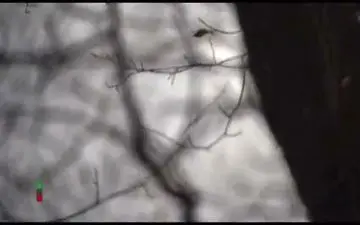  آدم خواری در فرانسه، نگرانی جدید مردم