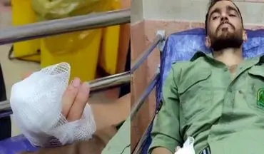 قطع انگشت مأمور منابع طبیعی بابل در جریان خلع ید از اراضی ملی