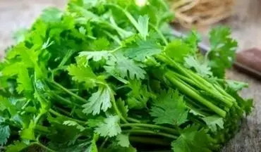با این سبزی خوشمزه کم خونی تان را درمان کنید