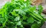 با این سبزی خوشمزه کم خونی تان را درمان کنید