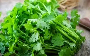 با این سبزی خوشمزه کم خونی تان را درمان کنید