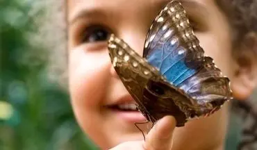 تشریح مراقبت‌ها و روش‌های درمان حمایتی در افراد مبتلا به بیماری پروانه‌ای