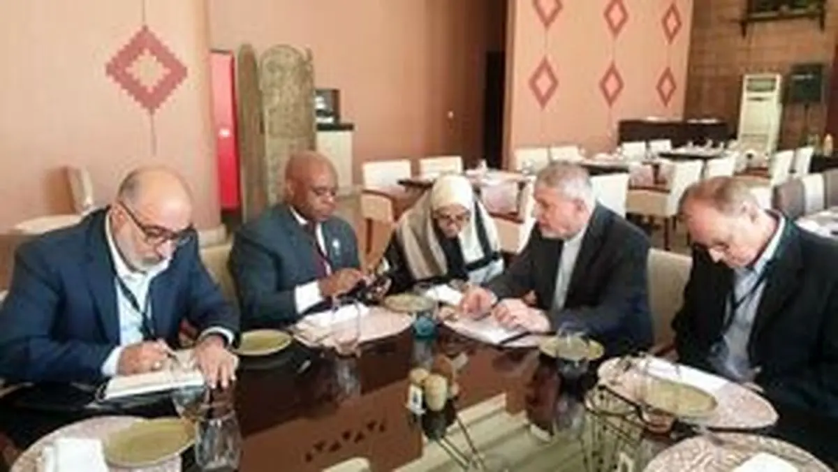   ایران دنبال لغو ویزا با مصر است 