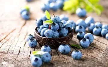 10 میان وعده خوشمزه که شما را چاق نمی کنند