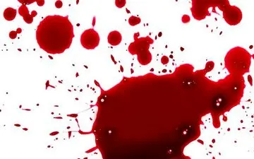 ماجرای قتل فجیع یک زن در خانه