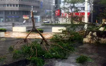 زلزله ای که برخی از مناطق ژاپن را به طور کامل ویران کرد + فیلم 